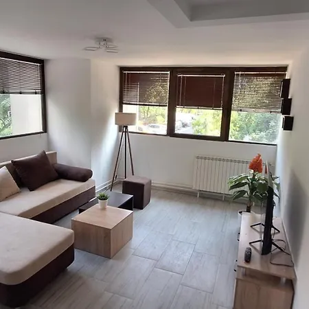 Tree House Apartment