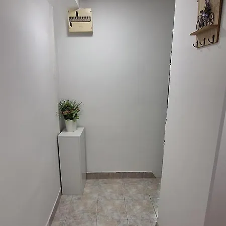 Апартаменты Tree House