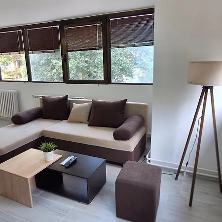 Tree House Апартаменты *