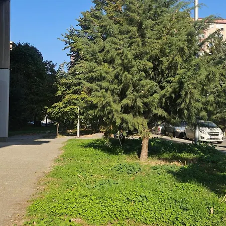 Tree House Апартаменты *