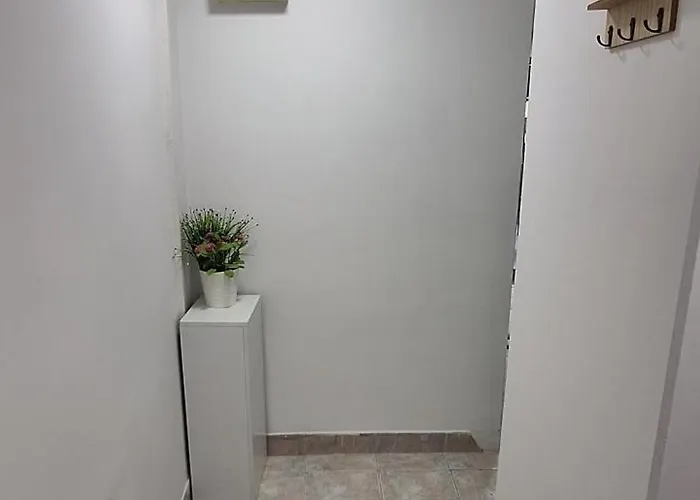 Apartament Tree House