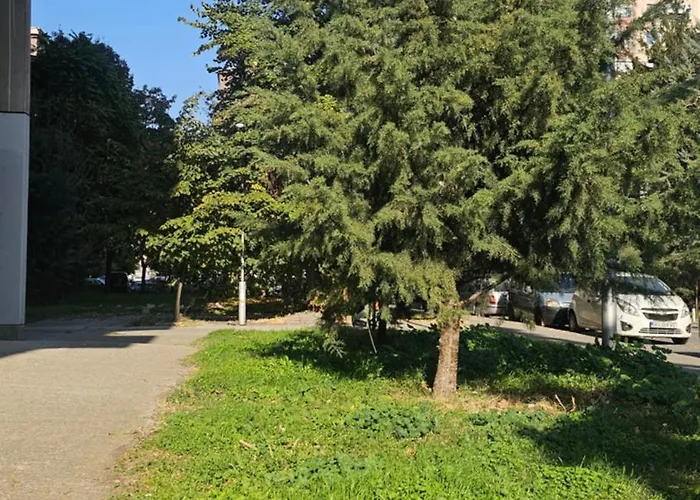 Tree House Apartament *